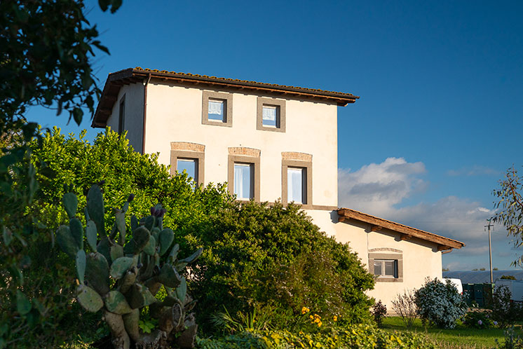 sede filogea sede filogea