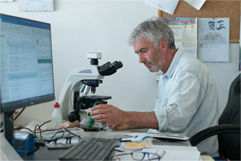 Comprendere Comprendere